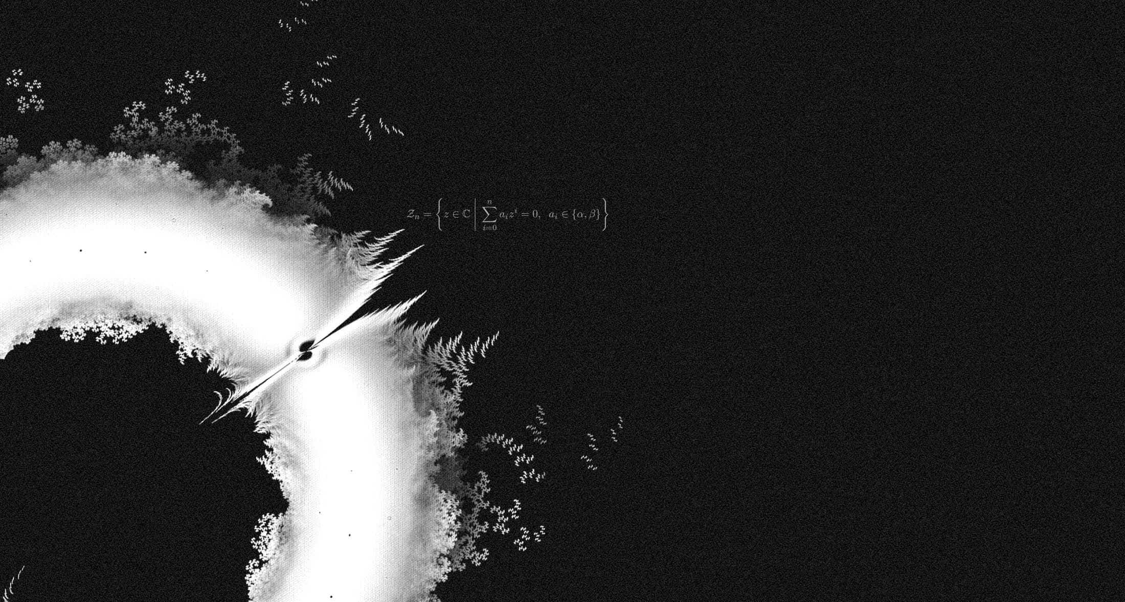 Abstract black-and-white Littlewood polynomial visualization